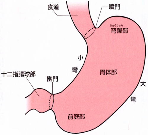 また、受けてもいい胃カメラ説明・案内